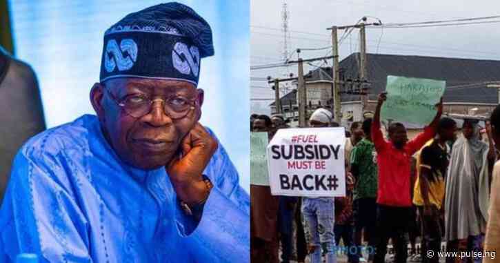 Independence: Don urges President Tinubu to reintroduce fuel subsidy