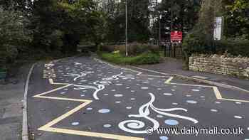 'It looks like Twister!' Parents claim colourful road markings outside schools are confusing and dangerous