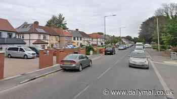 Pensioner, 82, dies after being attacked on the street before police arrest two teenage boys