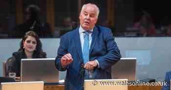 Senior Welsh Tory says 'the Welsh public are inherently conservative'