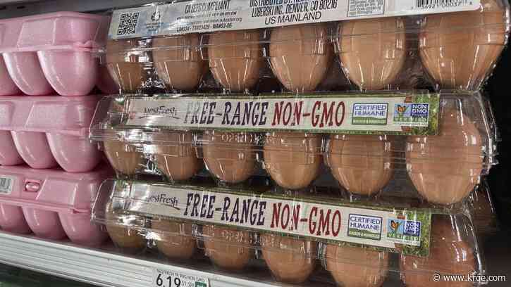 Rising egg prices linked to bird flu's impact on supply chain