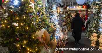 A look inside Wales' biggest Christmas shop that's like a real-life Santa's workshop