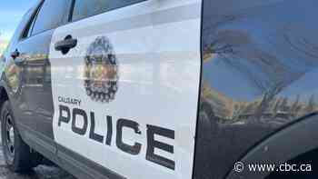 Calgary police investigate suspicious deaths in Penbrooke Meadows