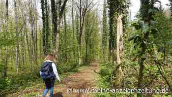 Vom Hochofen in die Natur: Auf dem Minett-Trail in Luxemburg