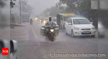 North India logs its best monsoon in 11 years