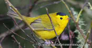 Lights out for fall migration