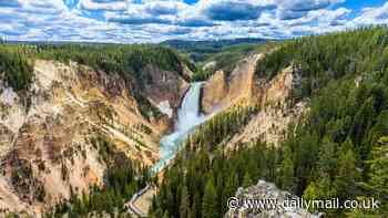 Yellowstone's biggest killer revealed - and it's twice as deadly as bear and bison attacks combined