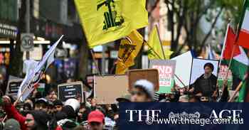 AFP says waving Hezbollah flag at protest not enough for arrest