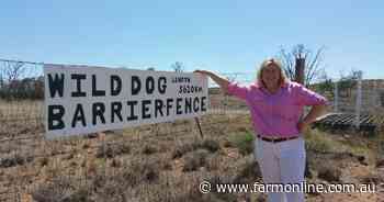 LNP says it will continue to fund Queensland's wild dog barrier fence