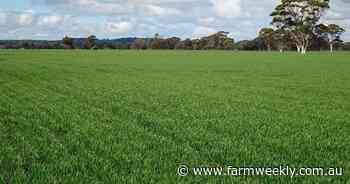 Land near Wagin is hard to buy, which makes this 1077.8ha farm worth a look