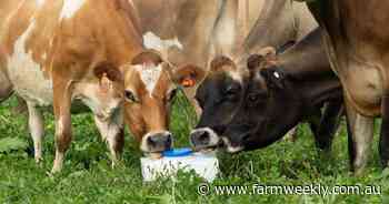 WA dairy latest to join milk on tap revolution - and it's udderly good