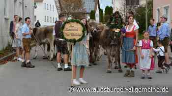 Wenn der Herbst kommt, wird in Oberschönegg Viehscheid gefeiert