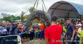 'Body of missing six-year-old' found in stomach of giant crocodile