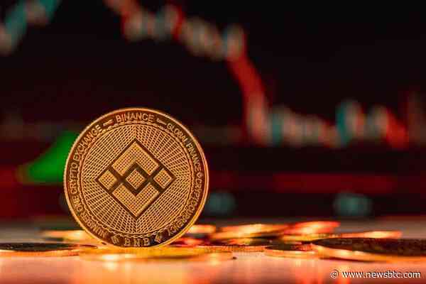 BNB Rally Fades As Price Dips Under $600: Is A Correction Looming?