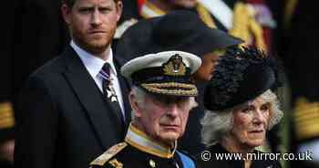 Queen Camilla is 'discouraging' Prince Harry and King Charles meeting in London - expert