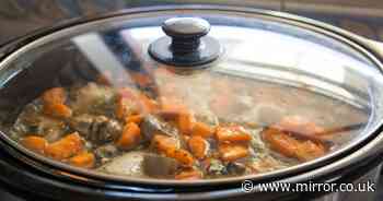 Woman falls violently ill after making terrible slow cooker mistake