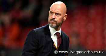 Liverpool have blueprint for Manchester United Erik ten Hag sacking FSG know all too well