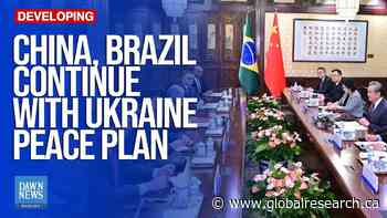 China and Brazil Continue Planning Ukraine Peace Plan Despite Zelensky’s Anger