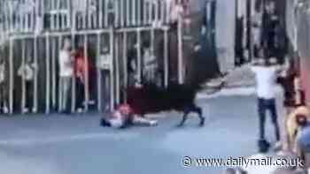 Horrifying moment woman, 60, is gored to death by bull while crossing a square unaware beast was rampaging towards her during Spanish festival