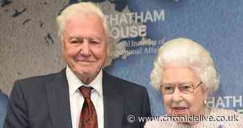 Late Queen and David Attenborough named greatest British icons of all time