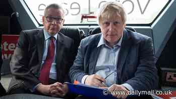 BORIS JOHNSON: To this day I don't know exactly why Gove did me in. What I resented most was the sheer stupidity of it