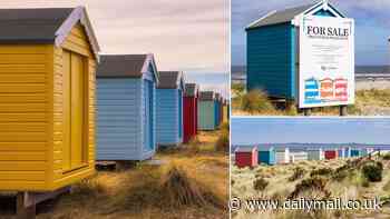 Small but mighty beach huts for sale - for a cool £32,500 each