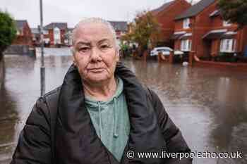 'My brand new sofa is just floating in the living room. We're going to lose everything'