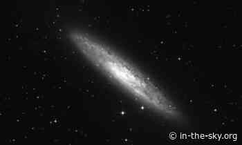 03 Oct 2024 (4 days away): NGC 253 is well placed