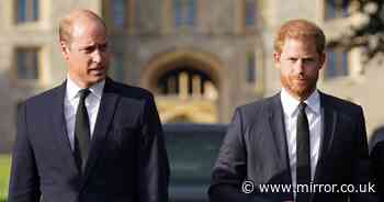 Prince William's three-word code to brother Harry that left prince stunned