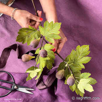 Crepe Paper Fig Branch – Member Make Workshop