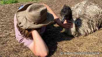 Desperate search to find missing Emu which disappeared from animal sanctuary after it was 'swept away' during flood