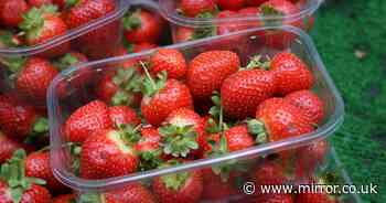 'Game-changing' way to keep strawberries fresh for weeks - it's not in the fridge