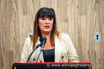 Province reviewing response to mental health crises