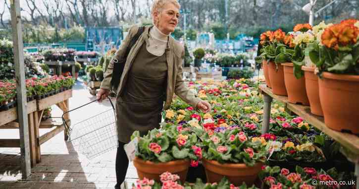 Full list of ‘much loved’ garden centre closing 17 stores across the UK