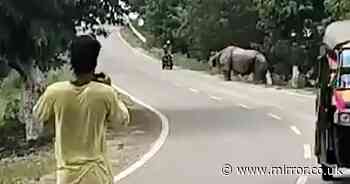 Horror moment escaped rhino chases and and kills motorcyclist who abandons bike