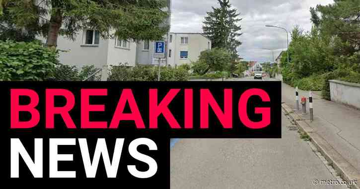 Several children injured after man launches attack in nursery in Zurich