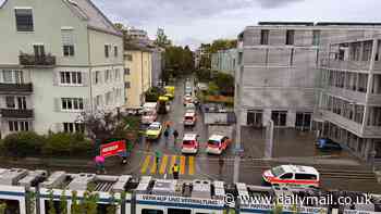 Attacker 'injures 'screaming' children at Swiss daycare centre' before being arrested by armed cops