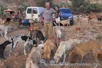 A man in South Lebanon cares for pets left behind as residents flee Israeli bombs