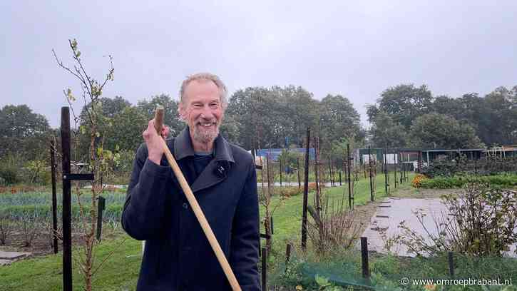 Peterselie, pastinaak en Gouden Eekhoorn: voedseltuin oogst dubbel