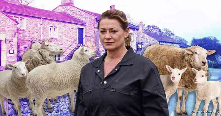 Emmerdale reveals who let the sheep out – and it wasn’t Moira 