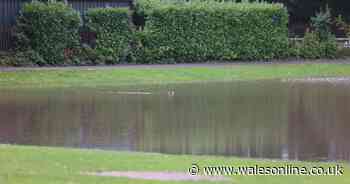 Fireworks cancelled as Pontypridd park 'unusable' after National Eisteddfod and torrential rain