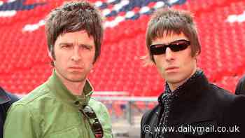 Dig out your hole! Oasis fans bury drugs in a park 10 months before reunion gigs are held there