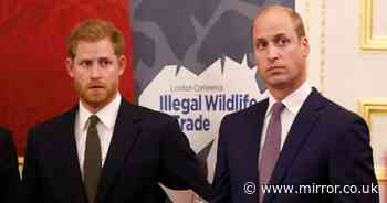 'PR gold dust' Royal's peace-making efforts between Prince William and Harry amid ongoing Royal feud