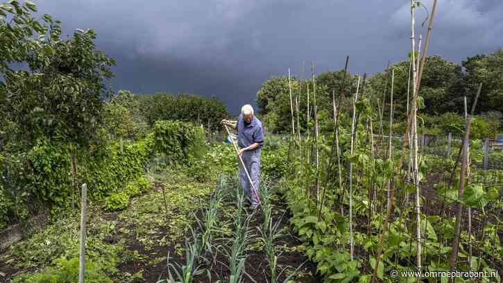 Ruzie in volkstuin loopt uit de hand, breuken in oogkas en ribben