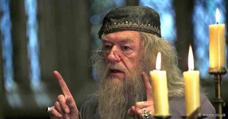 British acting legend reveals ‘dream’ to play Dumbledore in Harry Potter TV series