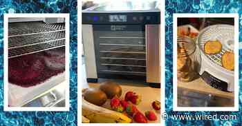 5 Best Food Dehydrators, Tested and Reviewed