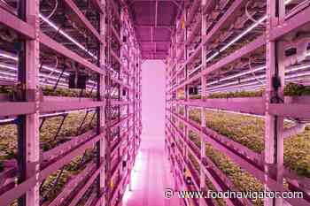 Vertical farming breakthrough could save industry from failure