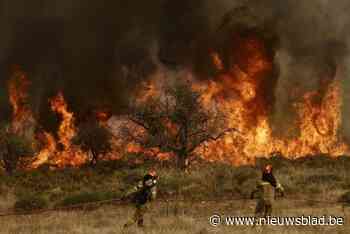 Zeshonderd brandweerlieden vechten tegen bosbranden in Griekenland: twee doden, tientallen dorpen ontruimd