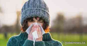 Cold and flu season: What can Canadians expect this year?