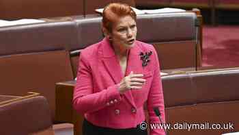 Pauline Hanson unleashes after Albanese government votes to support United Nation's 'Pact for the Future'